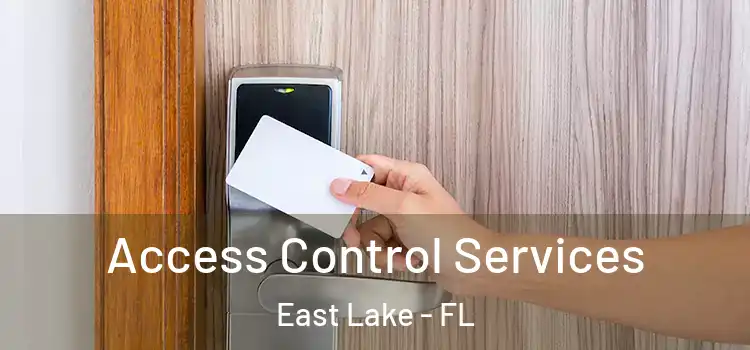 Access Control Services East Lake - FL