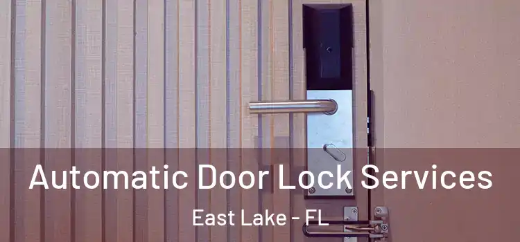 Automatic Door Lock Services East Lake - FL