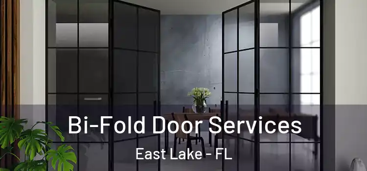 Bi-Fold Door Services East Lake - FL