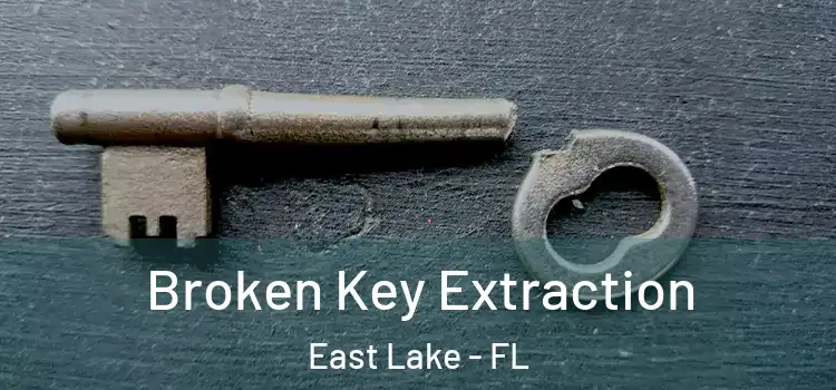 Broken Key Extraction East Lake - FL