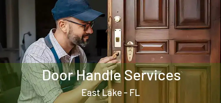 Door Handle Services East Lake - FL