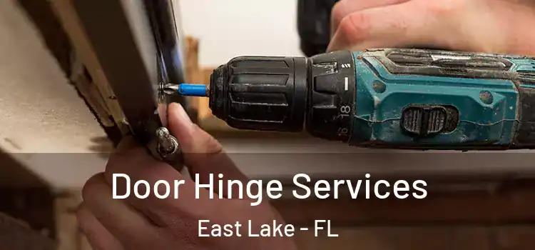 Door Hinge Services East Lake - FL