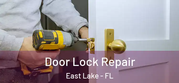 Door Lock Repair East Lake - FL