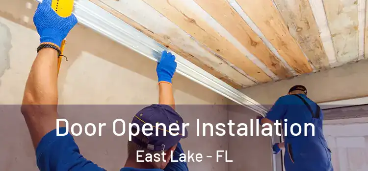  Door Opener Installation East Lake - FL