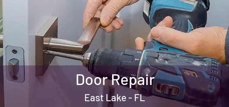  Door Repair East Lake - FL
