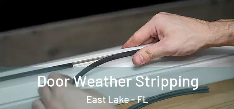  Door Weather Stripping East Lake - FL