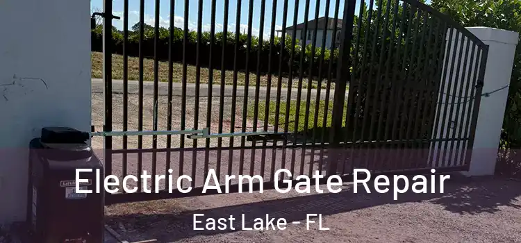 Electric Arm Gate Repair East Lake - FL