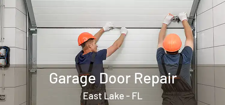  Garage Door Repair East Lake - FL