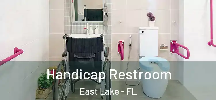 Handicap Restroom East Lake - FL