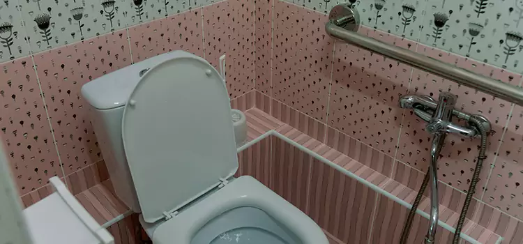 Meeting Diverse Needs With Accessible Restroom Solutions in East Lake, FL