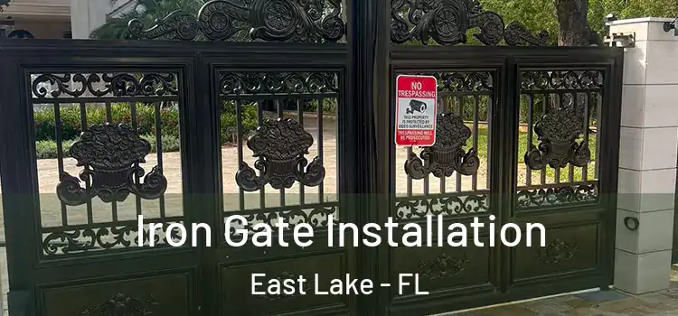 Iron Gate Installation East Lake - FL