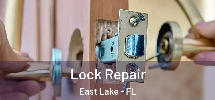 Lock Repair East Lake - FL