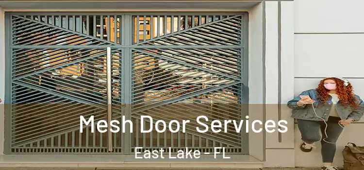 Mesh Door Services East Lake - FL