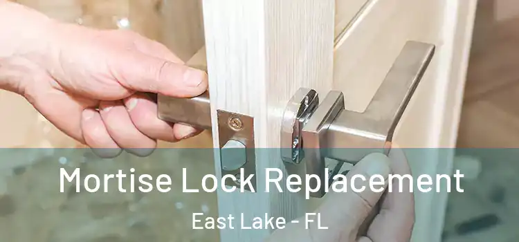 Mortise Lock Replacement East Lake - FL