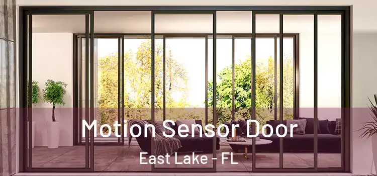 Motion Sensor Door East Lake - FL