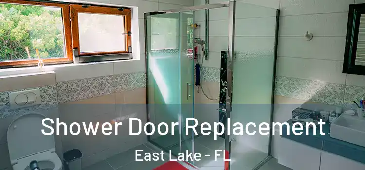 Shower Door Replacement East Lake - FL