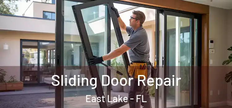 Sliding Door Repair East Lake - FL
