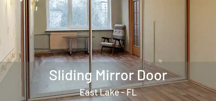  Sliding Mirror Door East Lake - FL