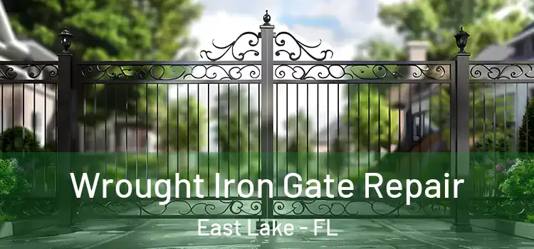 Wrought Iron Gate Repair East Lake - FL